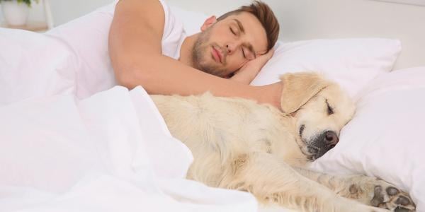 dog sleeping in bed with owner