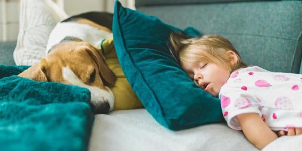 dog sleeping with child