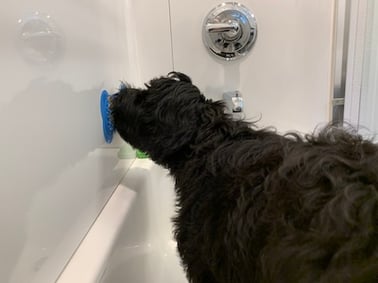 dog using lick pad in bathtub