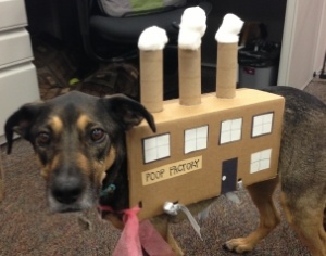 dog wearing a factory halloween costume