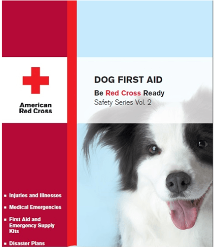 dog first aid kit list