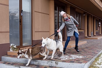 dog-training-frustrations-350