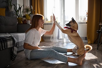 dog-training-high-five-350