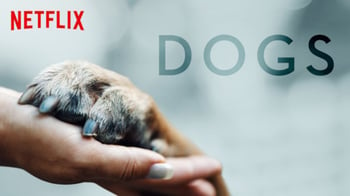 Dogs series on Netflix