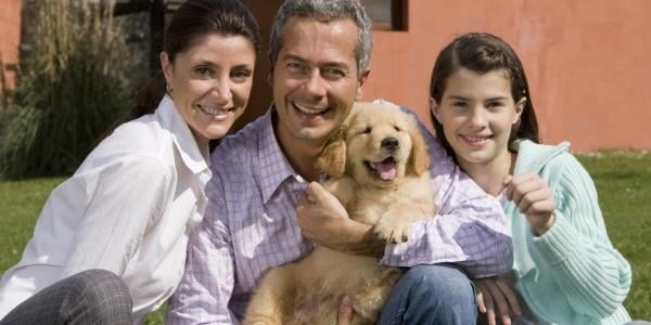 family posing with their new golden retriever puppy