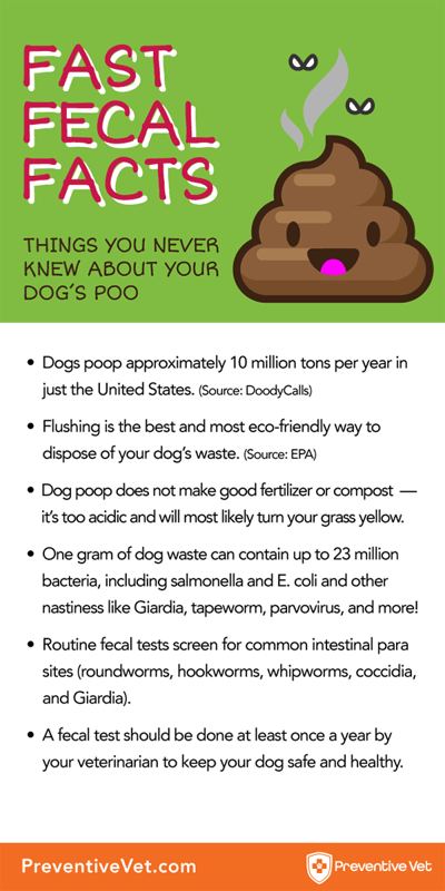 fast fecal facts infographic