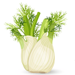 fennel