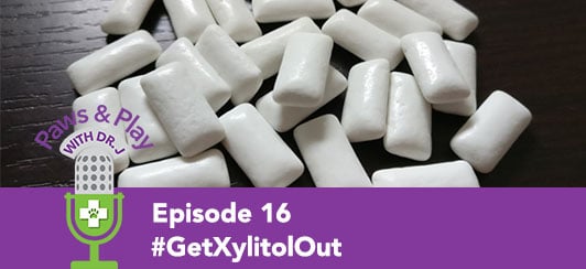 get-xylitol-out-podcast