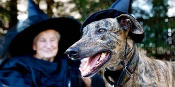 dog and owner as witches for Halloween