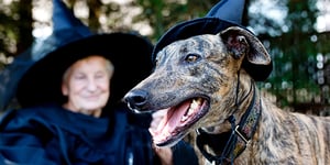 graphicstock-greyhound-dog-and-elderly-lady-in-costume