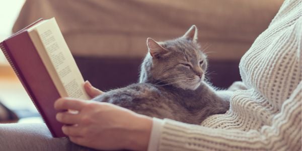 gray cat lying in woman's lap while she reads