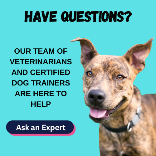 Have questions? Our experts are here to help