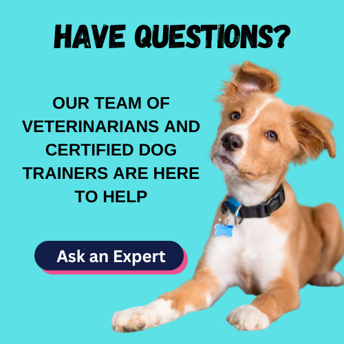 Have questions? Our experts are here to help
