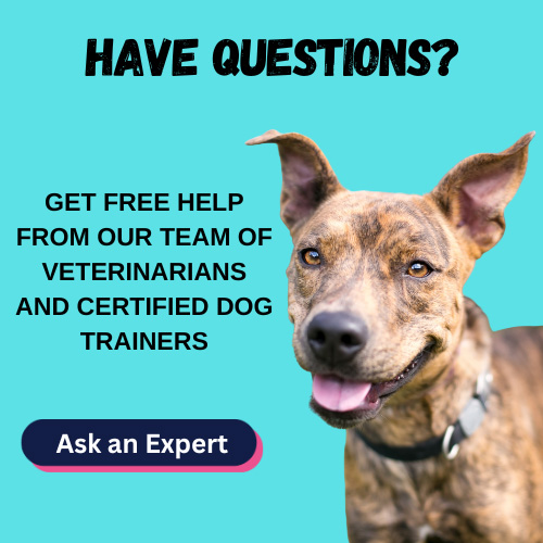 Have questions? Get free help from our team of experts