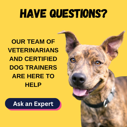 Have questions? Our experts are here to help.