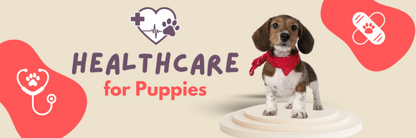 healthcare for puppies
