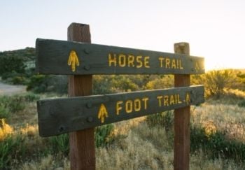 hiking trail sign for horse trail and foot trail 350 canva