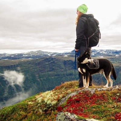 hiking with dog on leash