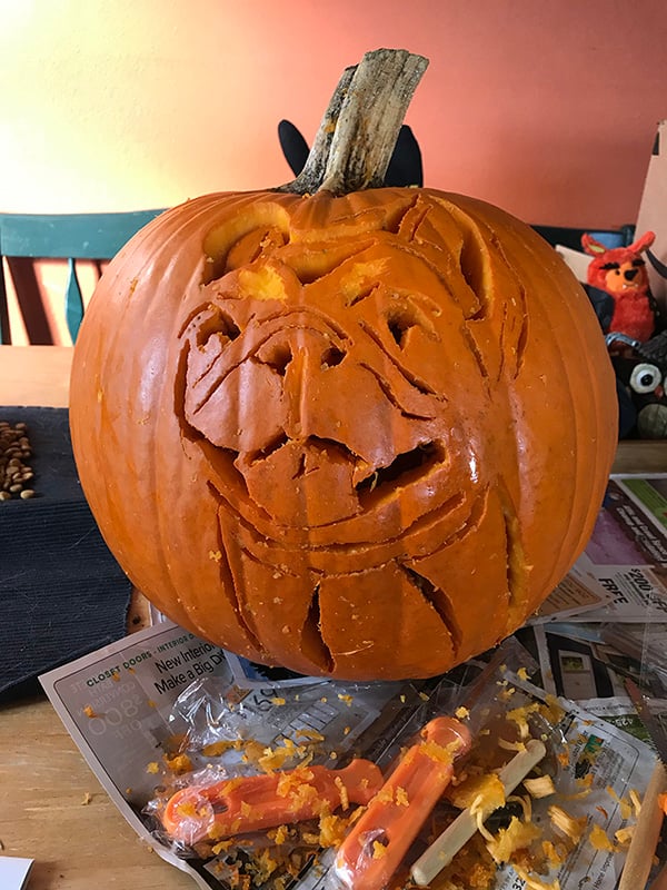 how to carve a french bulldog pumpkin