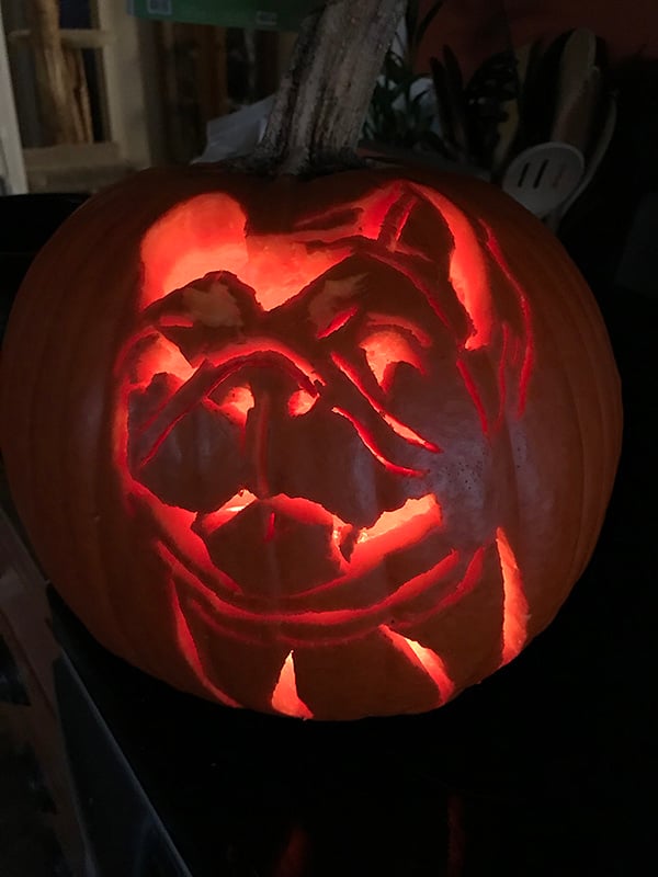 how to carve a photo of your pet onto a pumpkin
