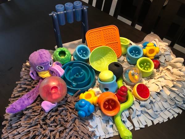 10 Dog Toys to Build Engagement through Playing