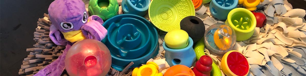 The Best Interactive Dog Feeders & Puzzle Toys