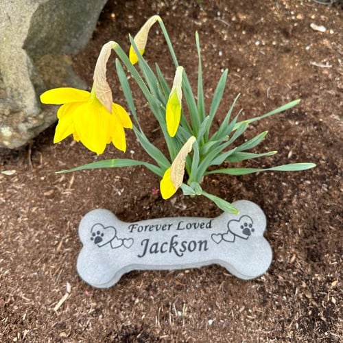 jackson memorial stone for dog-PV