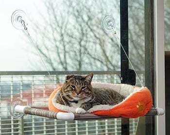 kitty cot cat perch to attach to window