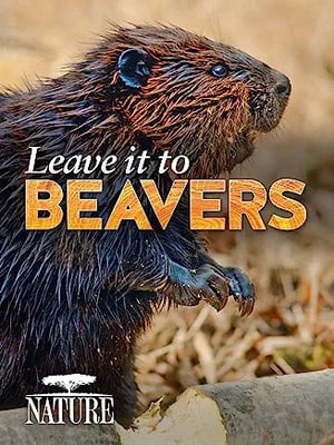 leave it to beavers documentary