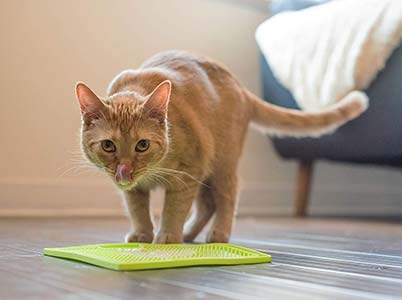 lickimat-cat-food-mat