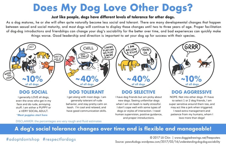 dog-dog sociability chart by Lili Chin