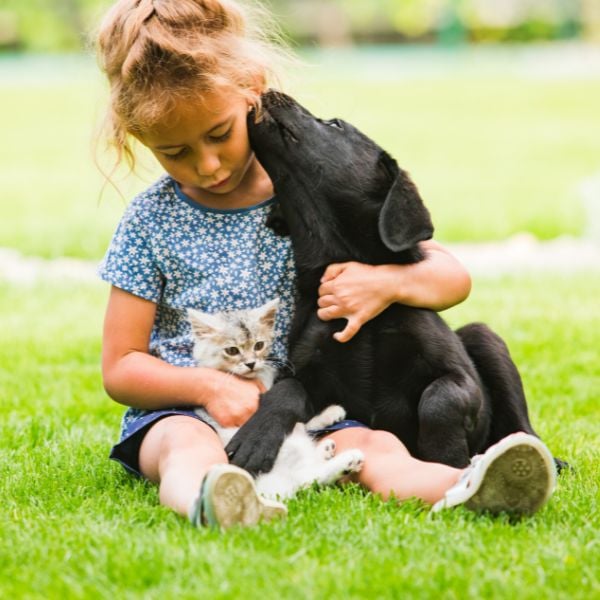 little girl outside with young black lab and kitten-canva