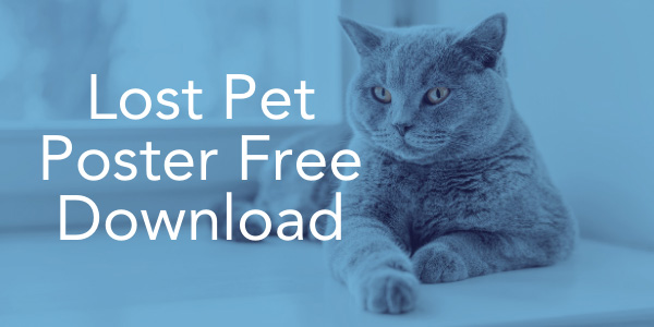 lost pet poster free download-1