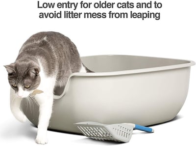 Litter Box 101: How to Choose the Best Litter Box for Your Cat