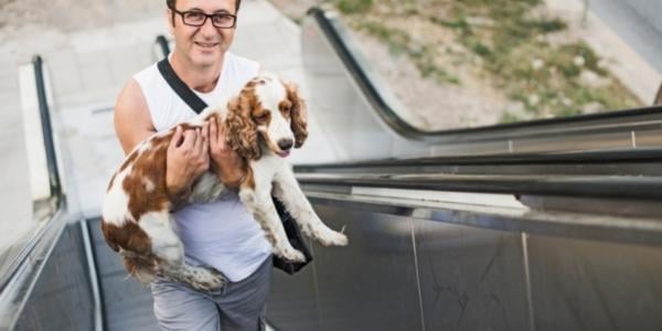 man carrying spaniel while going up escalator