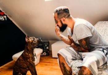 man sitting and talking with his brindle pit mix dog