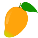 mango fruit