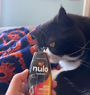 mazel the cat inspecting the Nulo water enhancer