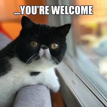mazel-welcome.jpg mazel-welcome.jpg