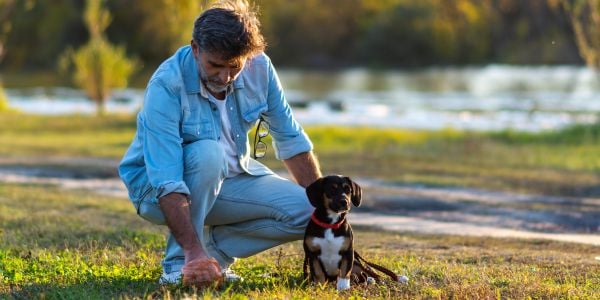 middle aged man picking up poo with his puppy sitting beside him in the park