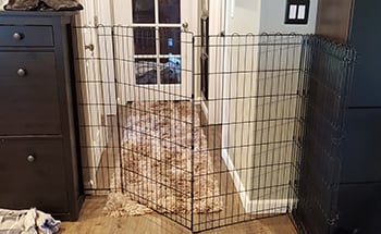 moveable panels for cat enclosure