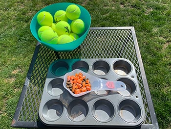 diy dog muffin tin puzzle supplies