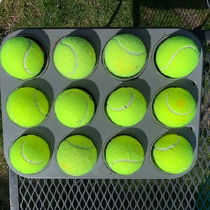 diy muffin tin setup for interactive dog game