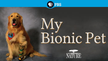 My bionic pet - stories of animals with prosthetics