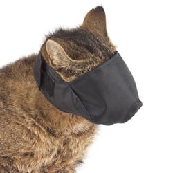 nylon cat muzzle
