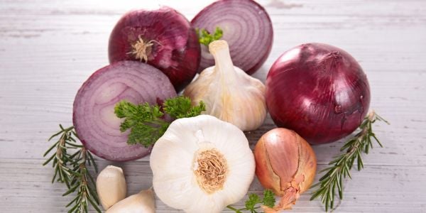 onions and garlic are toxic to cats