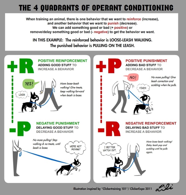 4 quadrants of operant conditioning chart