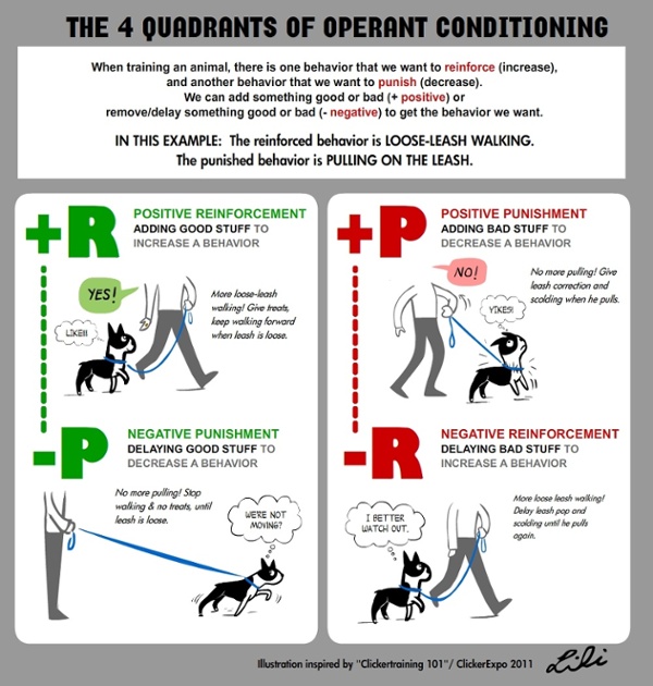 https://www.preventivevet.com/hs-fs/hubfs/operant-conditioning.jpg?width=600&name=operant-conditioning.jpg