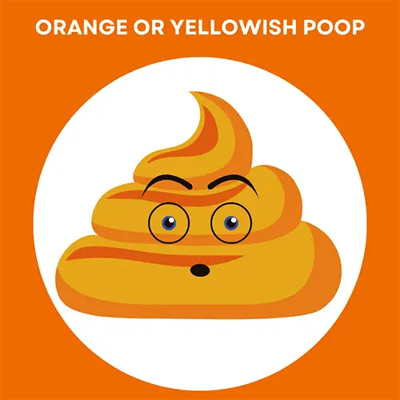 orange or yellowish poop