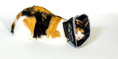 original comfy cone soft recovery collar for pets
